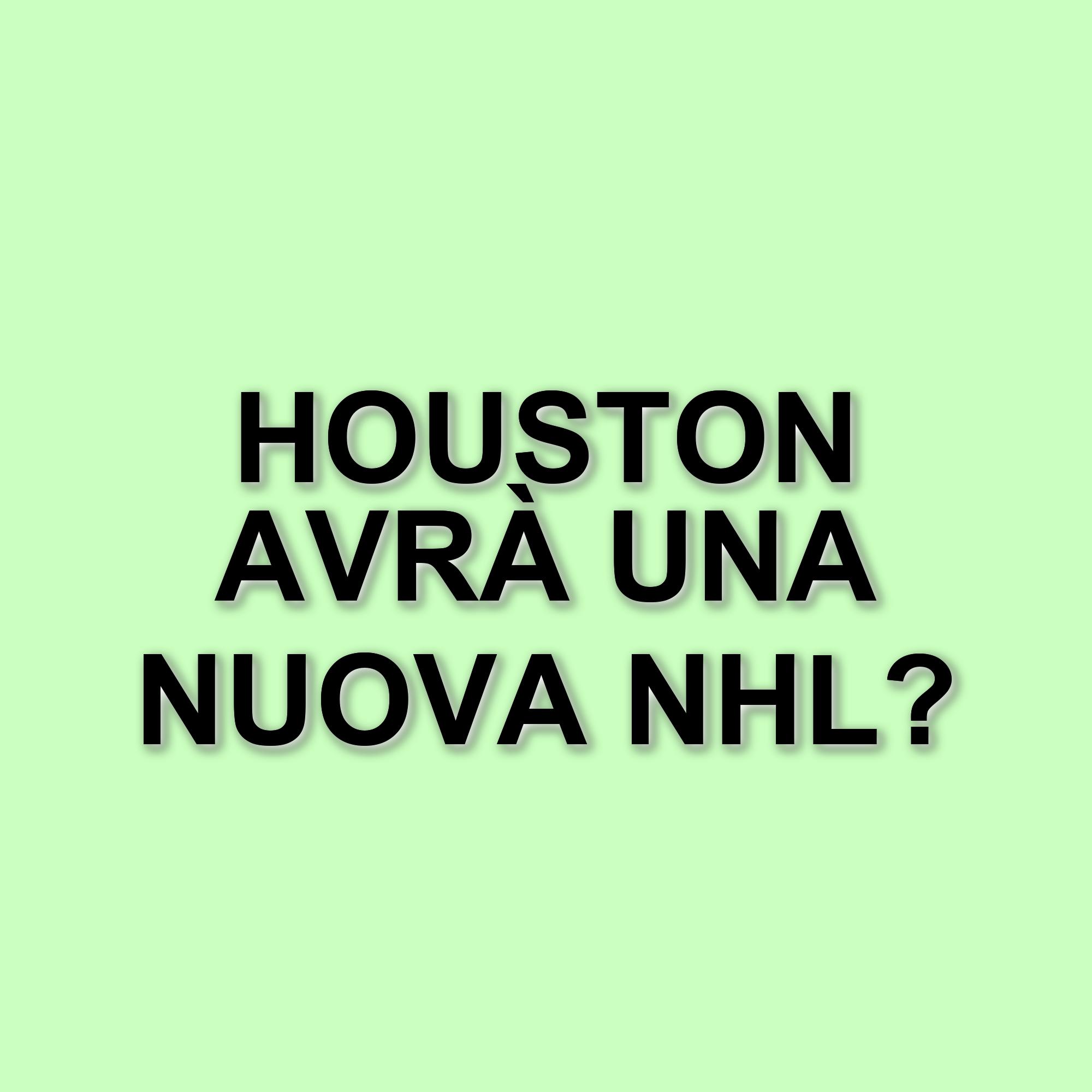 I Friedkin puntano all'espansione: possibile arrivo di una nuova squadra NHL a Houston