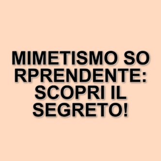 I pulli di colibrì giacobino collobianco: una sorprendente strategia di mimetismo per sopravvivere