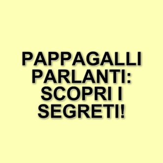I segreti del linguaggio dei pappagalli: come i parrocchetti ondulati imitano le parole