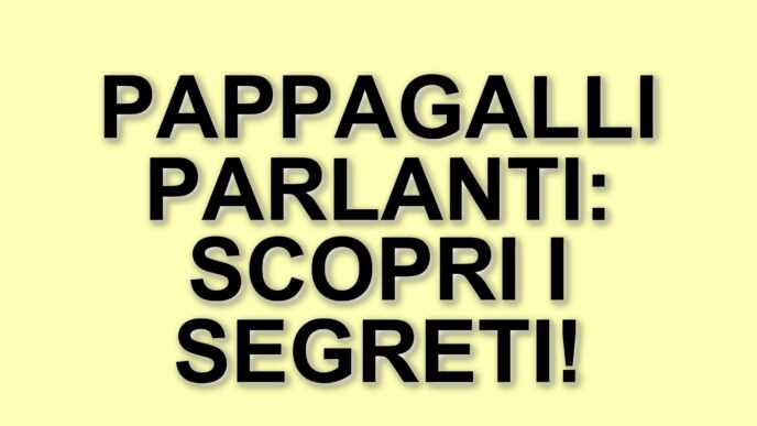 I segreti del linguaggio dei pappagalli: come i parrocchetti ondulati imitano le parole