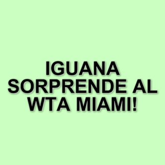 Iguana invade il campo durante il WTA 1000 di Miami: un episodio curioso che ha sorpreso tutti