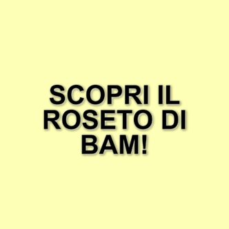 Milano celebra la biodiversità con il nuovo Roseto di Bam: un giardino per tutti