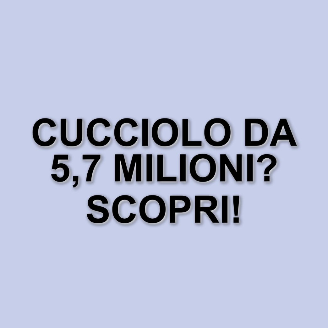 Il cucciolo di lusso che ha fatto scalpore: venduto per 5,7 milioni di dollari