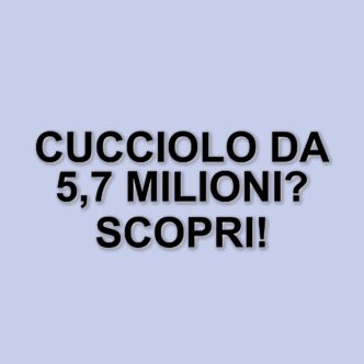 Il cucciolo di lusso che ha fatto scalpore: venduto per 5,7 milioni di dollari