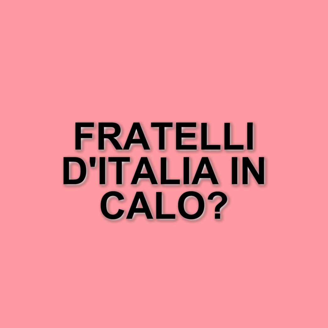 L'impatto del riarmo europeo sulle dinamiche politiche italiane: i sondaggi Ipsos