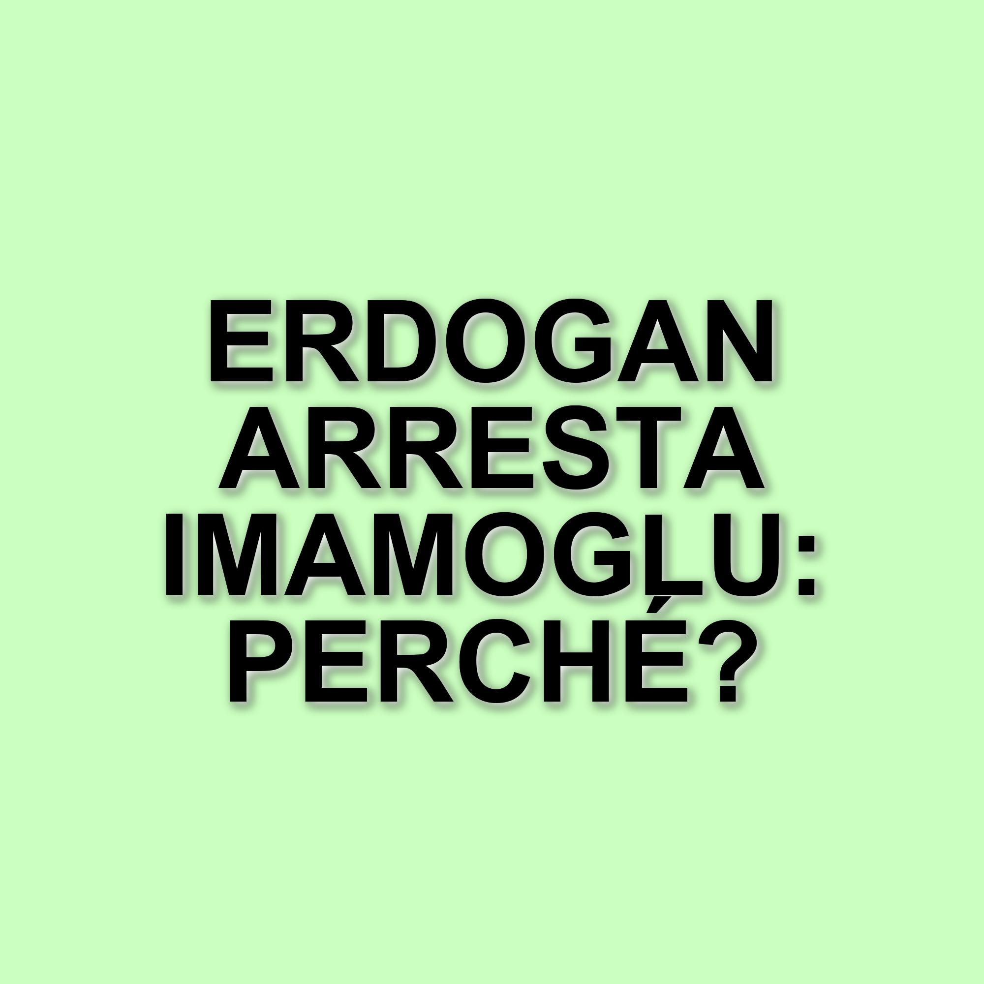 La Turchia di Erdogan: un'analisi delle dinamiche politiche e sociali attuali