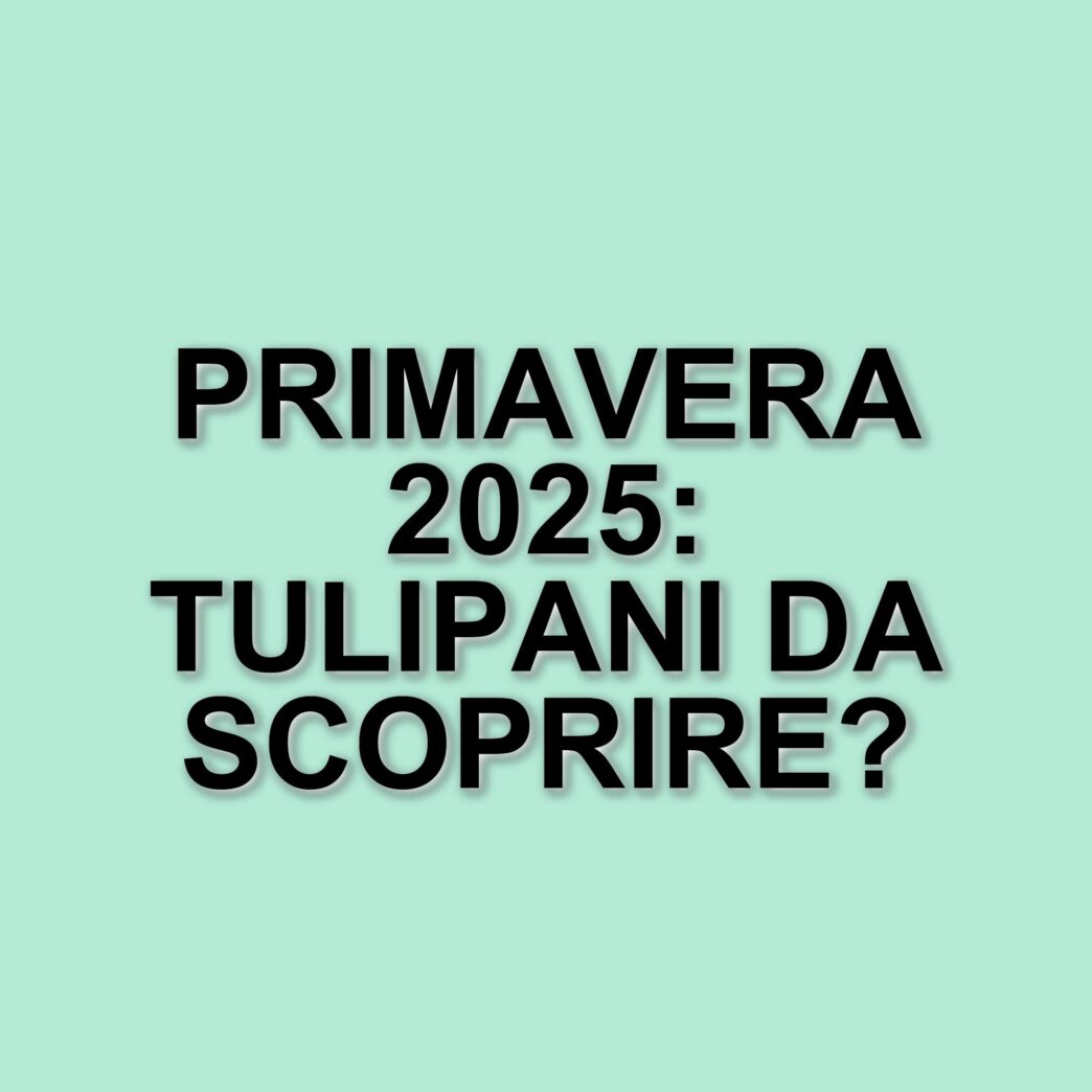 Primavera in Lombardia: i campi di tulipani e le esperienze da non perdere
