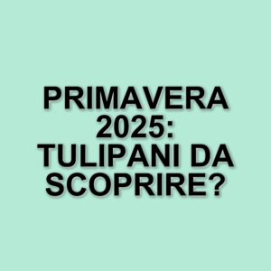 Primavera in Lombardia: i campi di tulipani e le esperienze da non perdere