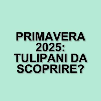 Primavera in Lombardia: i campi di tulipani e le esperienze da non perdere