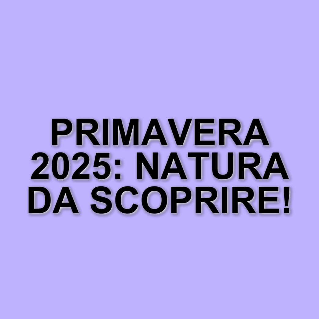Eventi Primaverili Da Non Perdere: I Migliori Giardini E Mostre In Italia Tra Aprile E Maggio 2025