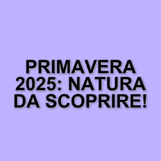 Eventi Primaverili Da Non Perdere: I Migliori Giardini E Mostre In Italia Tra Aprile E Maggio 2025