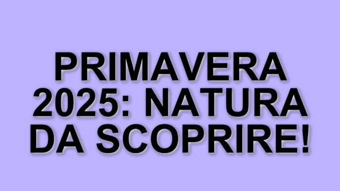 Eventi Primaverili Da Non Perdere: I Migliori Giardini E Mostre In Italia Tra Aprile E Maggio 2025