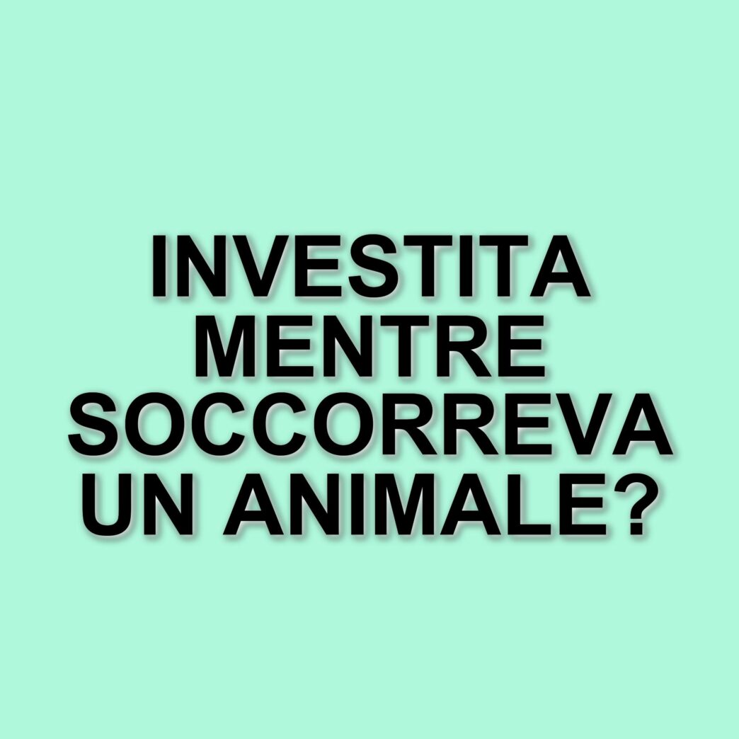Tragico incidente a Lurago Marinone: giovane travolta mentre soccorre un animale