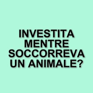 Tragico incidente a Lurago Marinone: giovane travolta mentre soccorre un animale