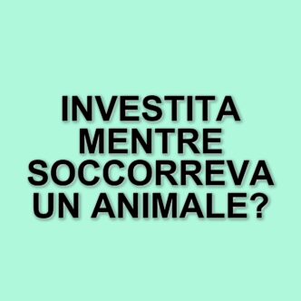 Tragico incidente a Lurago Marinone: giovane travolta mentre soccorre un animale