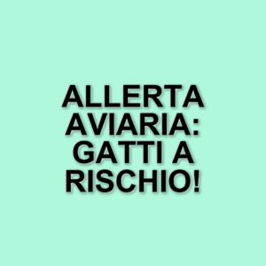 Influenza aviaria a New York: due gatti positivi e le raccomandazioni del Dipartimento della Salute