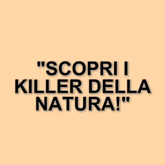 Insetti velenosi: le specie più pericolose per l'uomo e i loro meccanismi di difesa