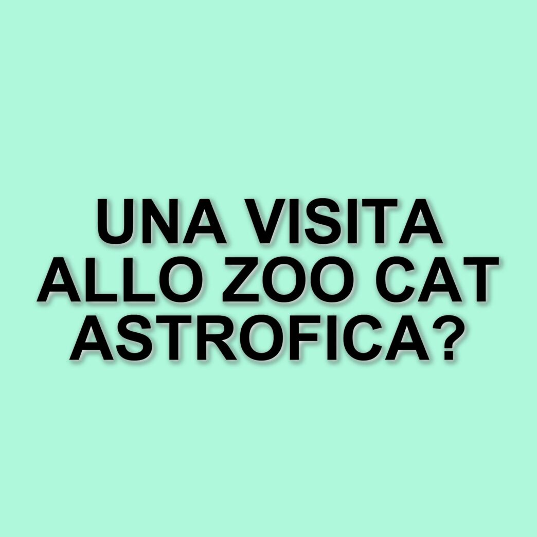 Joël Dicker lancia il suo nuovo romanzo "La catastrofica visita allo zoo": ecco cosa aspettarsi