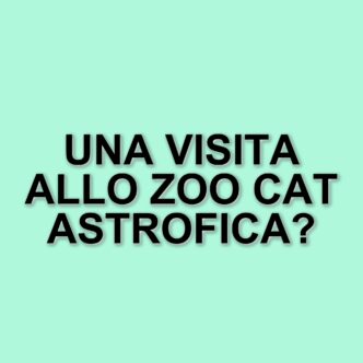 Joël Dicker lancia il suo nuovo romanzo "La catastrofica visita allo zoo": ecco cosa aspettarsi