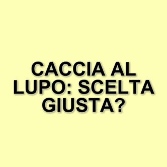 La Spagna riapre la caccia al lupo: un emendamento controverso per ridurre lo spreco alimentare