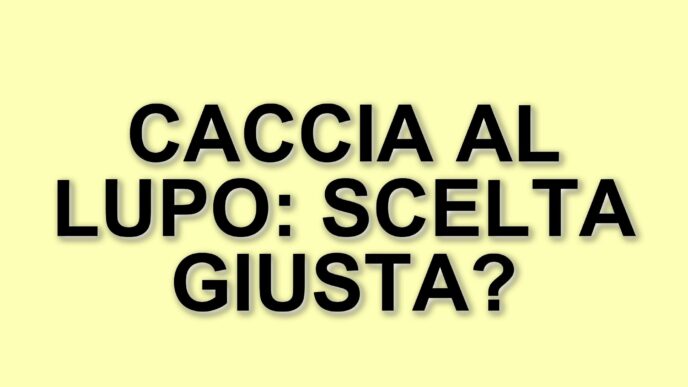 La Spagna riapre la caccia al lupo: un emendamento controverso per ridurre lo spreco alimentare