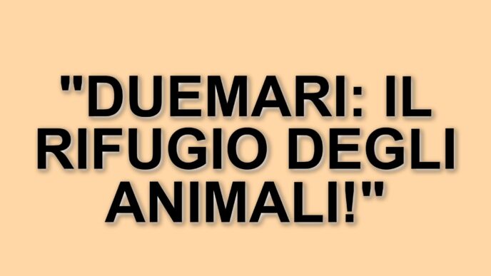 La clinica veterinaria Duemari di Oristano: un rifugio per gli animali in difficoltà