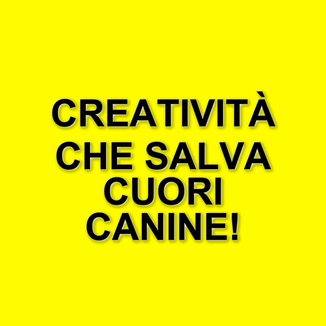 La creatività di una volontaria del Tennessee aumenta le adozioni di cani attraverso i social