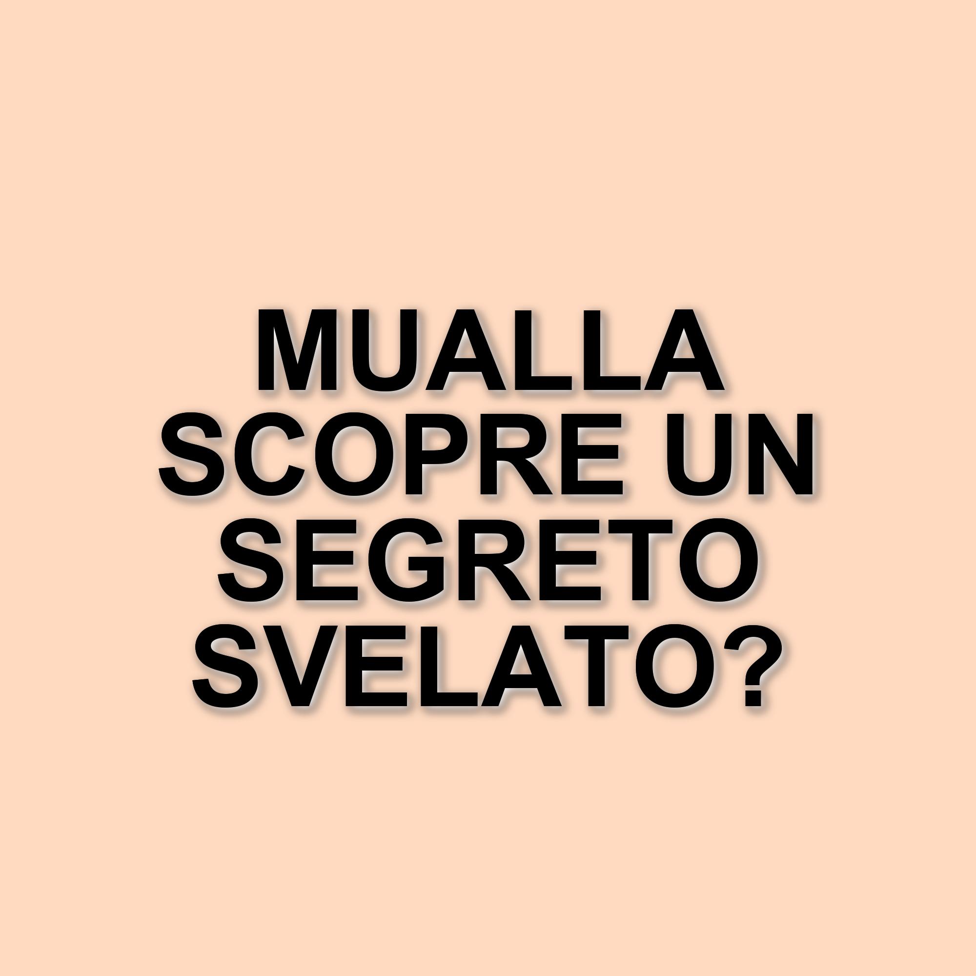 Tradimento: Mualla scopre il coinvolgimento di Oylum nell'agguato a Behram