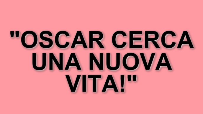 La storia di Oscar: il labrador ferito dalla camorra che cerca una nuova famiglia a Caserta