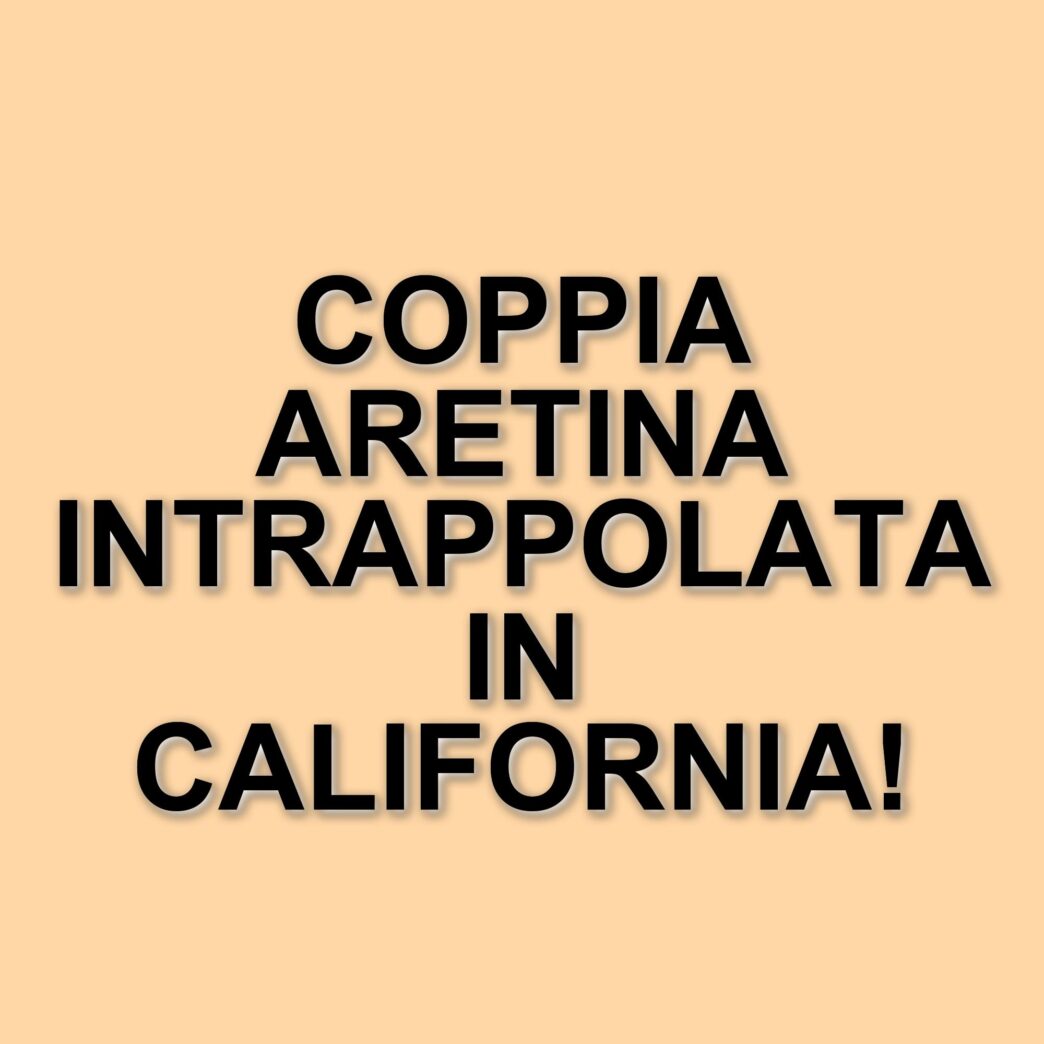 Maternità surrogata: la situazione di una coppia di Arezzo bloccata in California