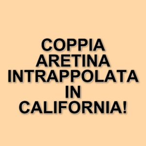 Maternità surrogata: la situazione di una coppia di Arezzo bloccata in California