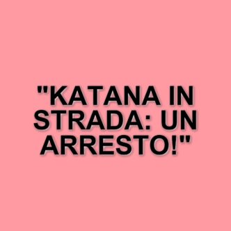 Milano, 18enne denunciato per porto di katana davanti alla stazione Garibaldi