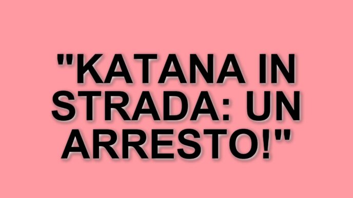 Milano, 18enne denunciato per porto di katana davanti alla stazione Garibaldi