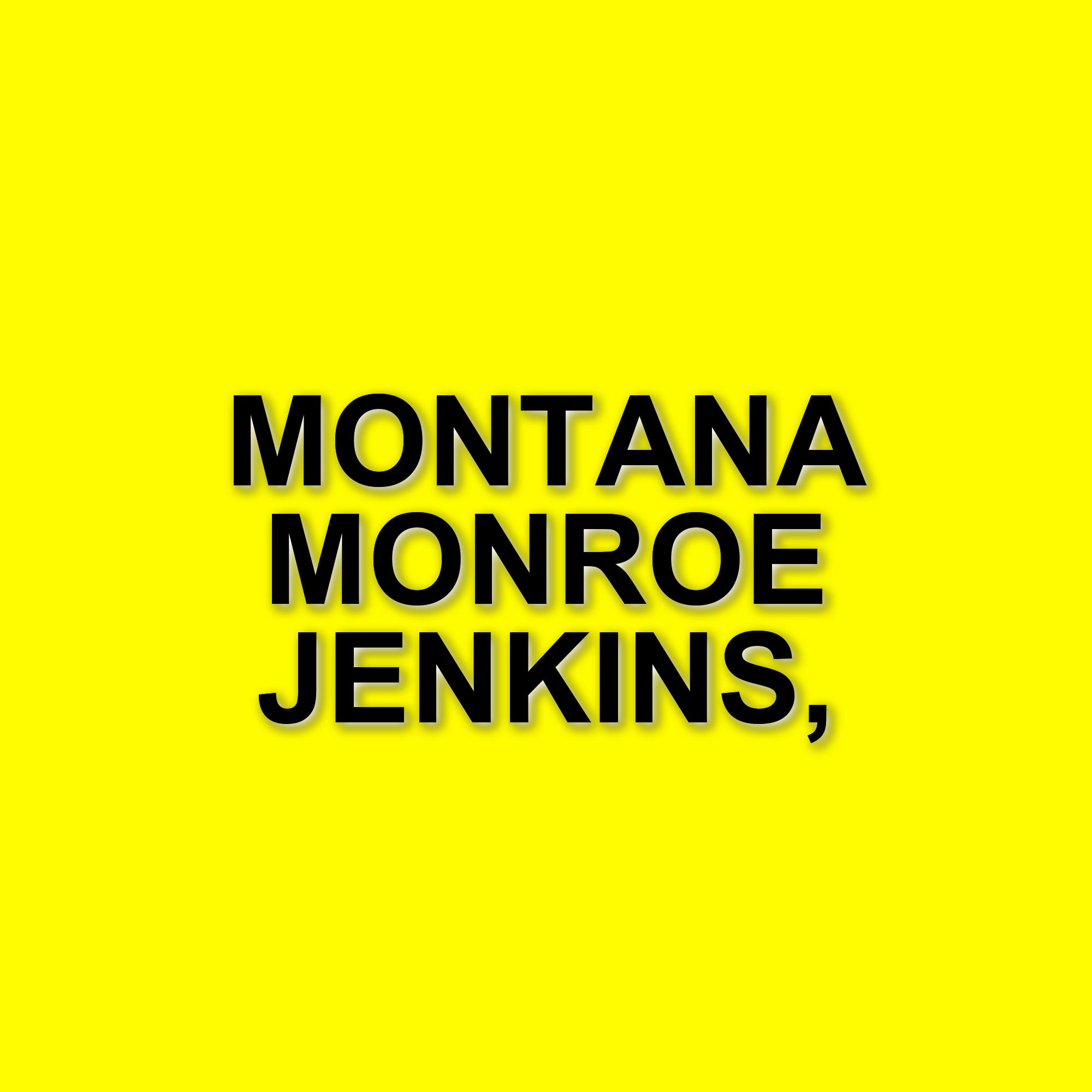 Montana Monroe Jenkins: La piccola star della moda americana