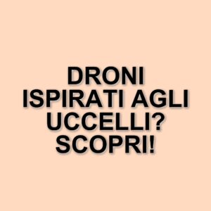 La rivoluzione dei droni: dalla natura alla tecnologia avanzata