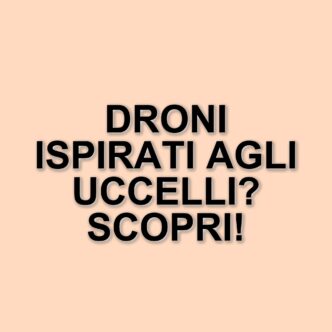 La Rivoluzione Dei Droni: Dalla Natura Alla Tecnologia Avanzata