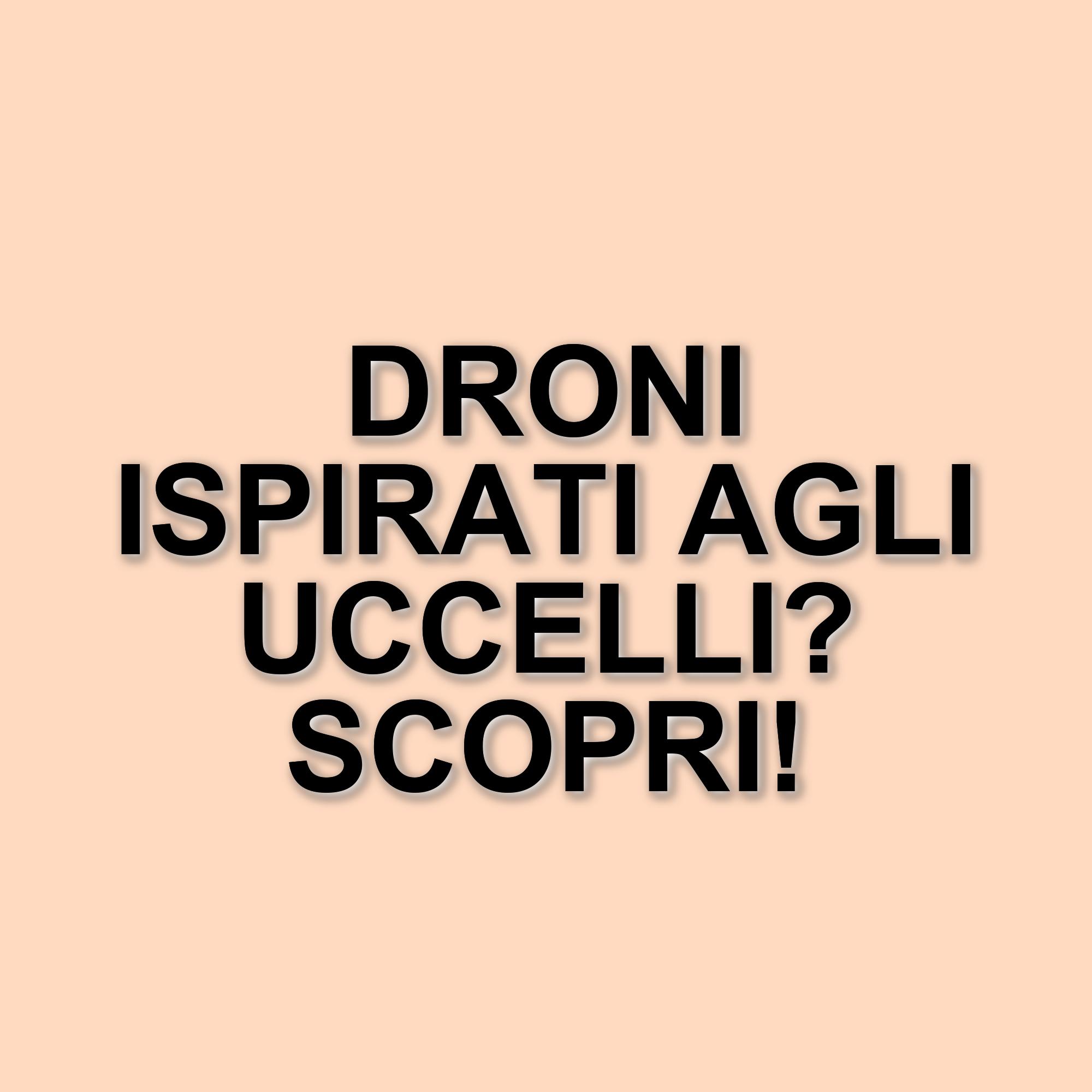La rivoluzione dei droni: dalla natura alla tecnologia avanzata