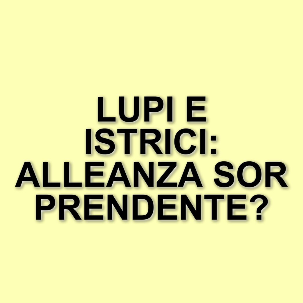 Lupi e istrici: un incontro inaspettato nei boschi dell'Appennino parmense