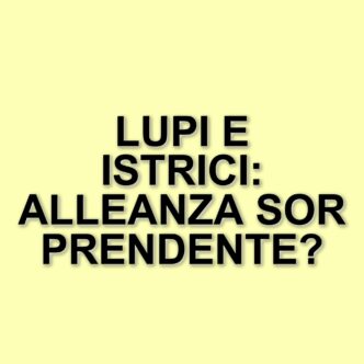 Lupi e istrici: un incontro inaspettato nei boschi dell'Appennino parmense