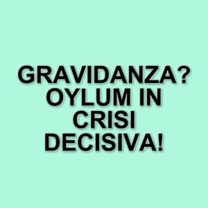 Anticipazioni della soap "Tradimento": Oylum sceglie Behram, Tarik scopre il piano di Yesim