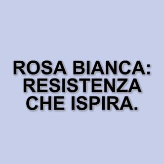 Ottant'anni dopo: la mostra sulla Rosa Bianca e il richiamo alla resistenza contro il nazismo