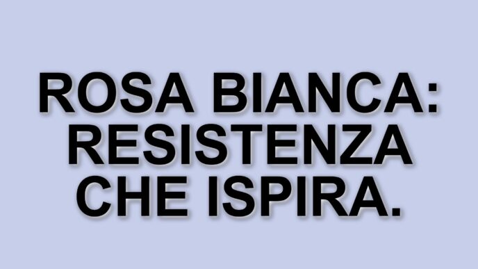 Ottant'anni dopo: la mostra sulla Rosa Bianca e il richiamo alla resistenza contro il nazismo