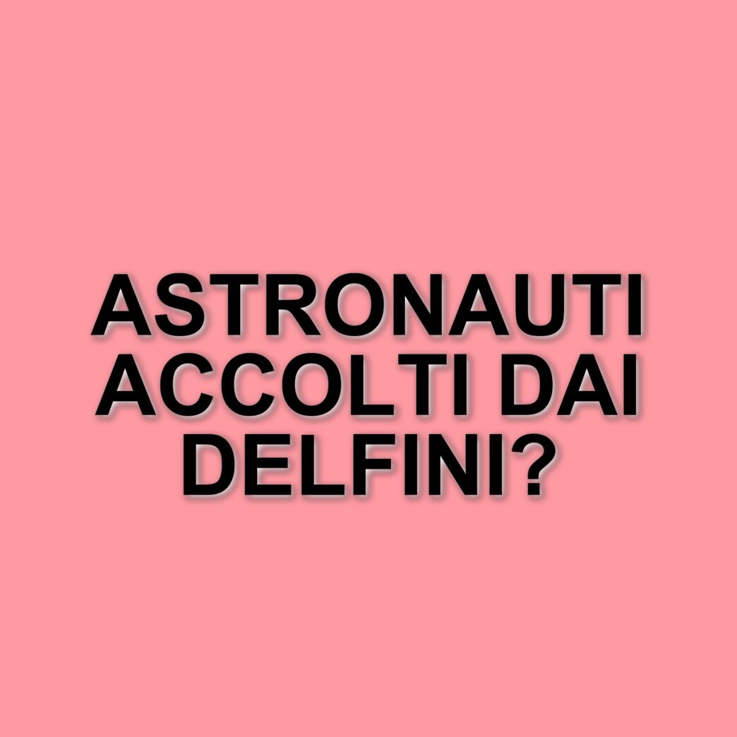 Rientro spettacolare per gli astronauti della missione Crew-9: accolti da un gruppo di delfini