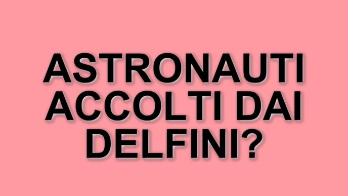 Rientro spettacolare per gli astronauti della missione Crew-9: accolti da un gruppo di delfini