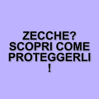 Rischi e prevenzione delle zecche nei cani: consigli dal veterinario Luca Buosi