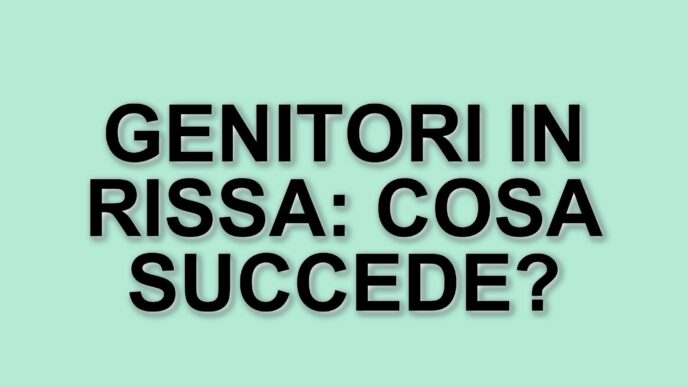 Rissa tra genitori durante una partita di calcio giovanile al centro sportivo della polizia
