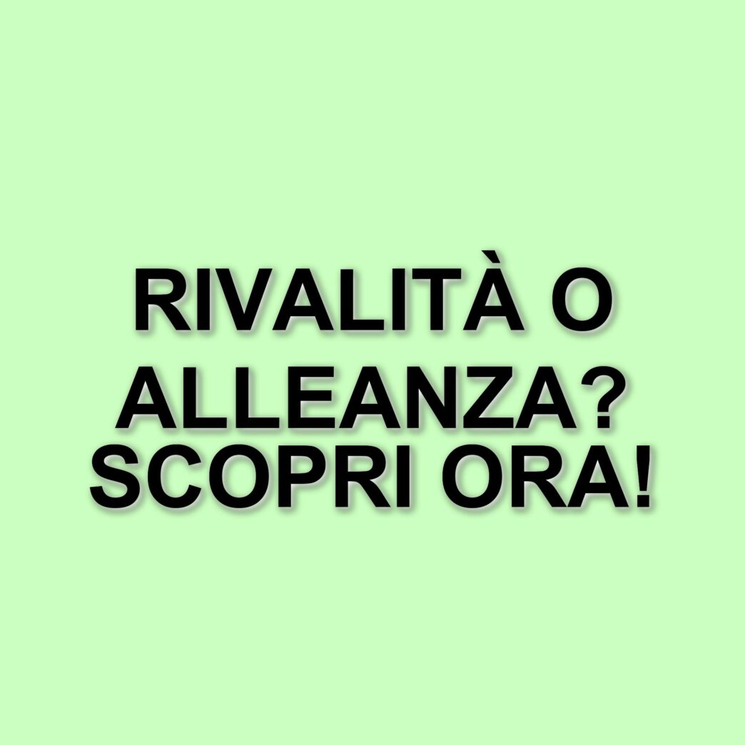 Rivalità e alleanze: il legame tra Milly Carlucci e Maria De Filippi nel panorama televisivo