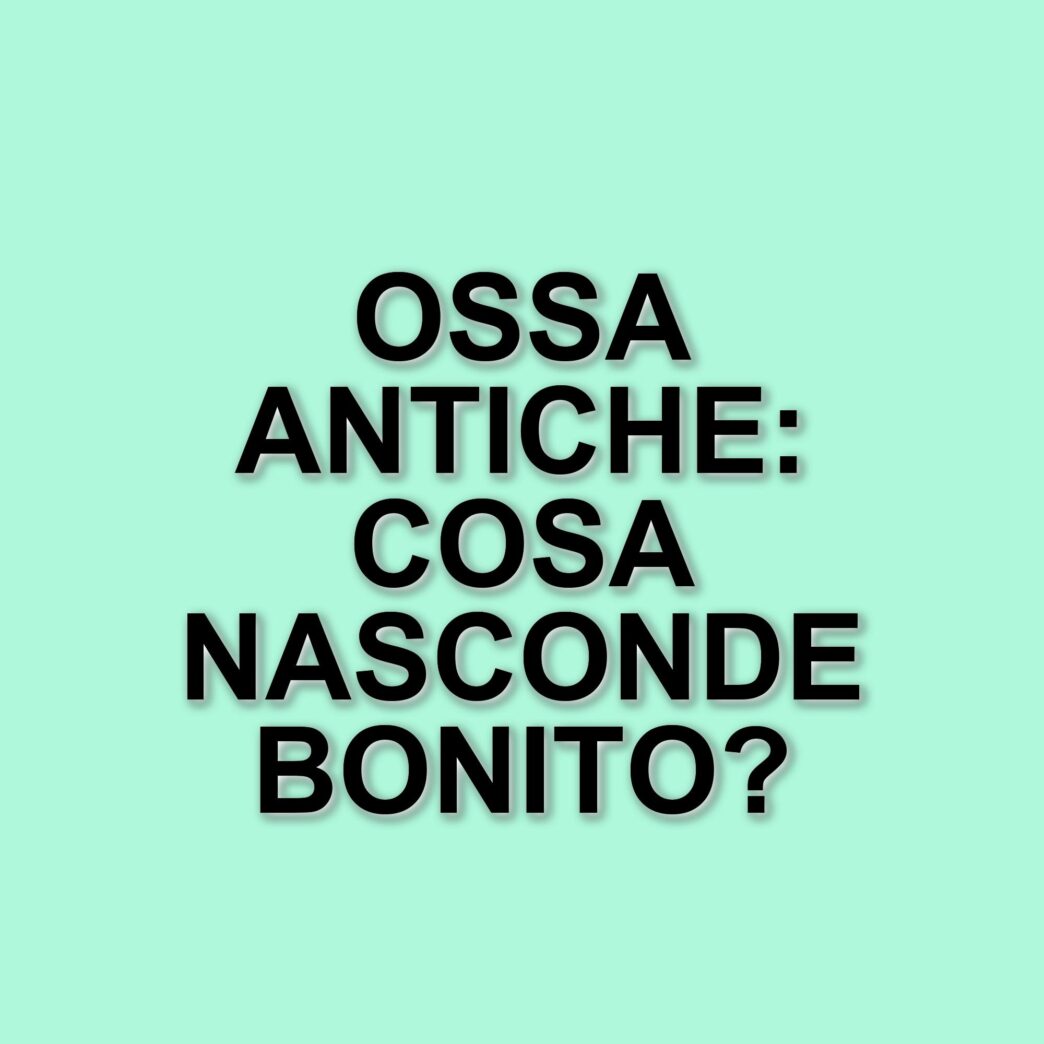 Scoperta archeologica a Bonito: ossa umane risalenti a duemila anni fa