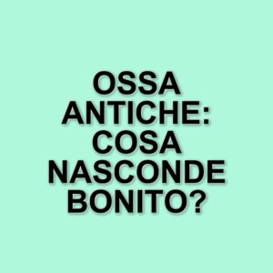 Scoperta archeologica a Bonito: ossa umane risalenti a duemila anni fa