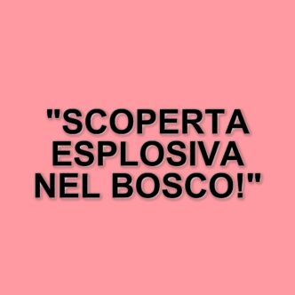 Scoperto ordigno inesploso della Seconda Guerra Mondiale durante una passeggiata nel bosco di Albate